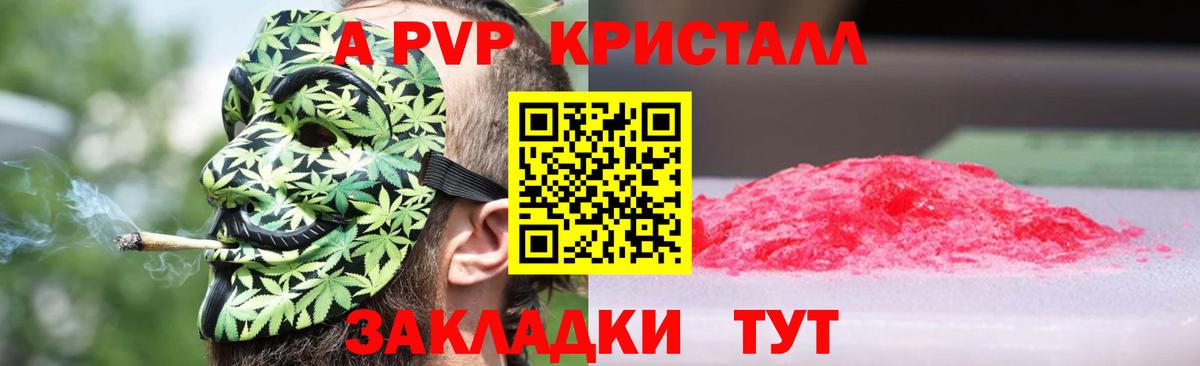 APVP крисы CK  Вход с VPN  Альфа ПВП  Будённовск  Альфа ПВП СК КРИС  Alfa_PVP VHQ 