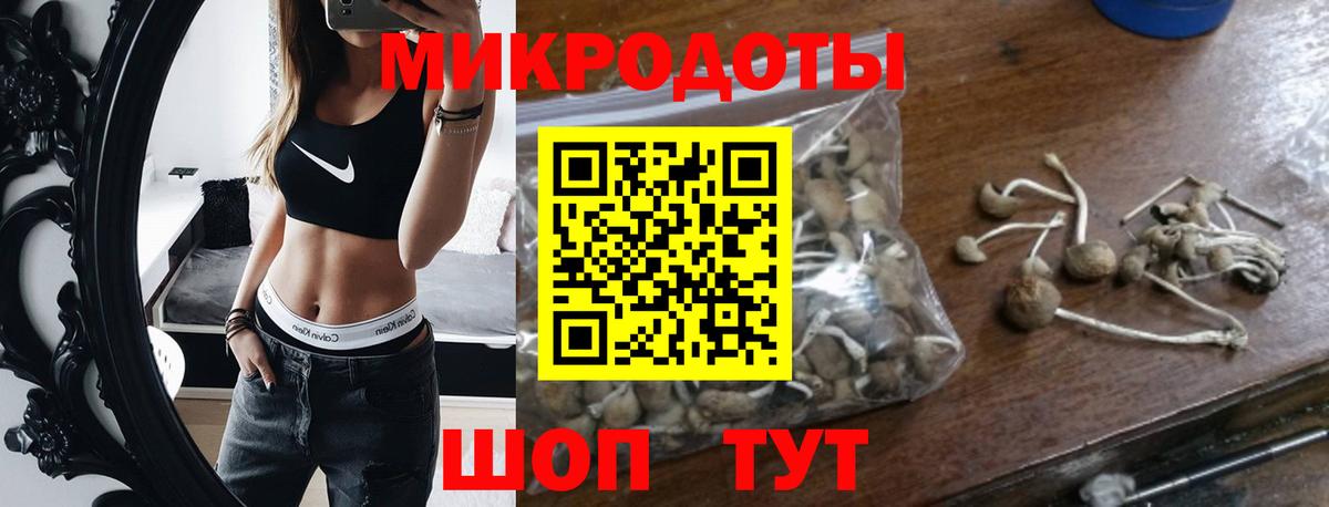 Галлюциногенные грибы Psilocybine cubensis Будённовск